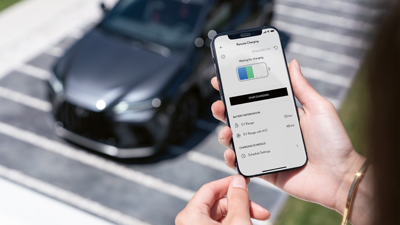 Contactez l'équipe Lexus Business